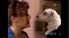 Darcy Wishbone y Lizzy