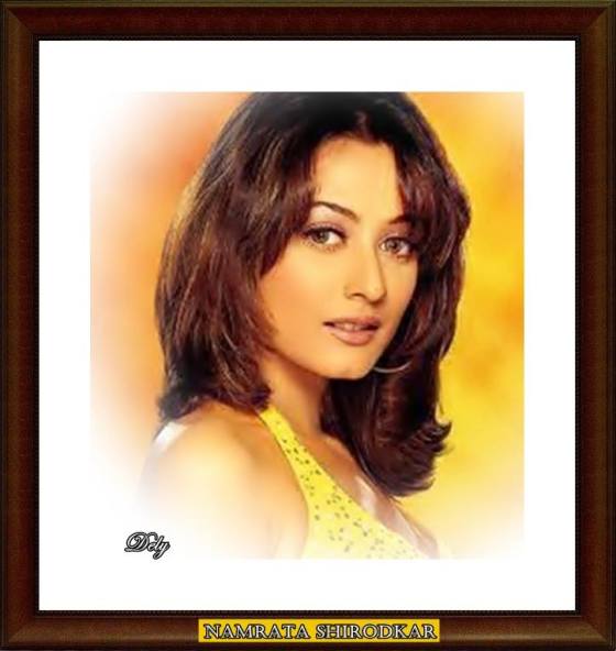 Namrata Shirodkar Brid and Prejudice