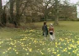 walking in the woods