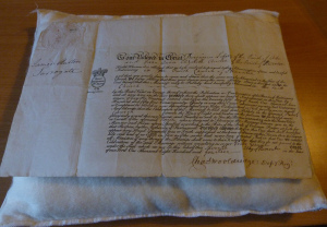 Licencia Matrimonio Anna