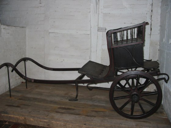 donkey carriage